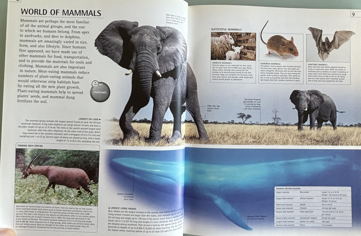 Mammal (DK/Google E.guides):  Jen Green  **  First American Edition  **