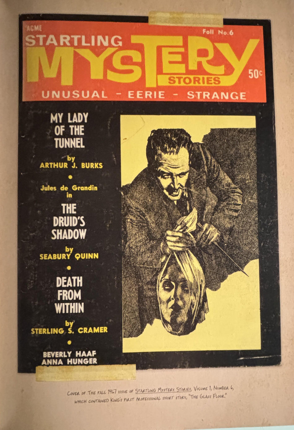The Stephen KING Illustrated Companion:  Bev Vincent  **  FIrst Editon  **