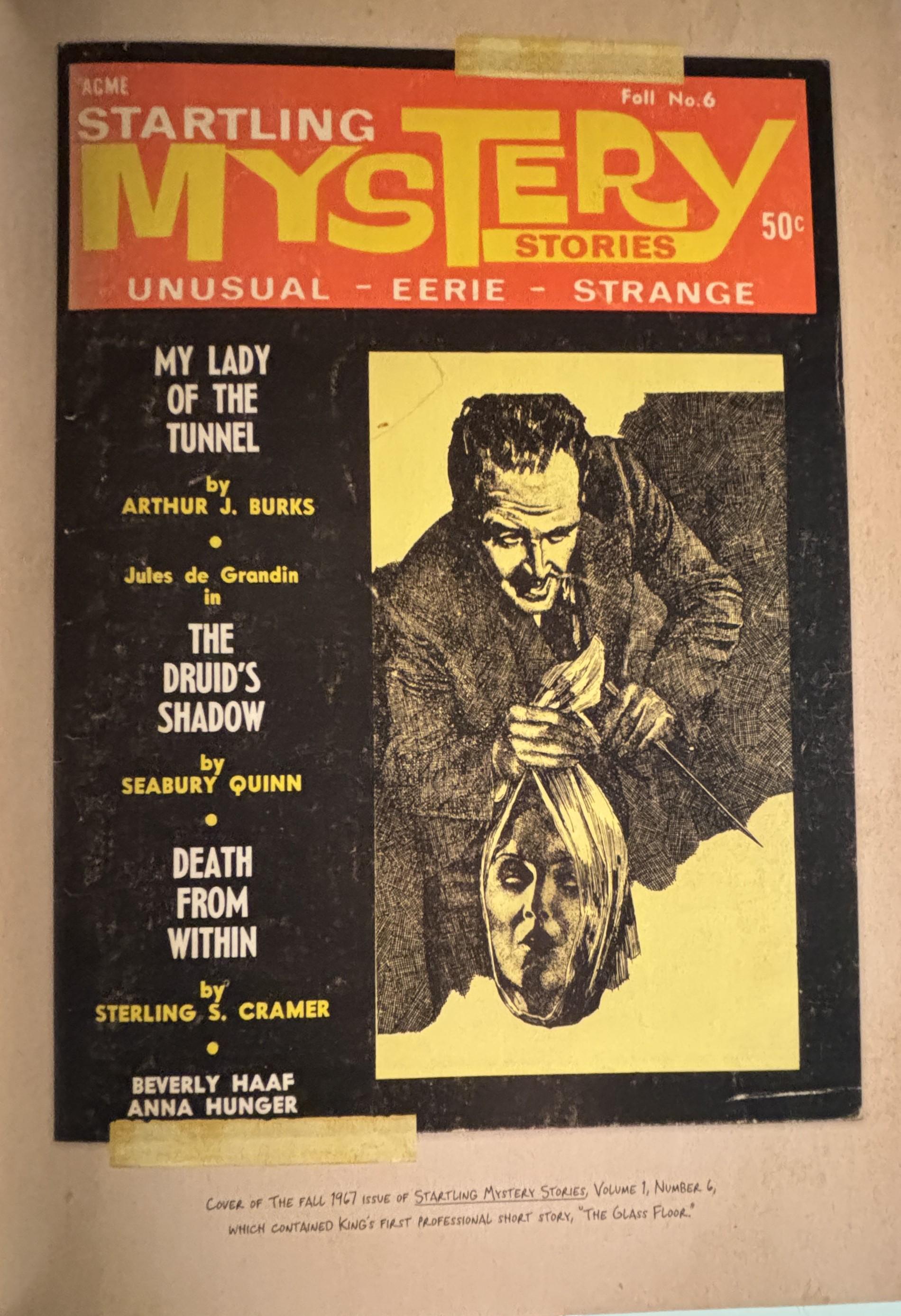 The Stephen KING Illustrated Companion:  Bev Vincent  **  FIrst Editon  **