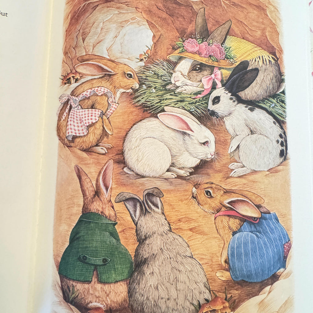 1988 The Story of the Easter Bunny:   Sheila Black, Robyn Officer