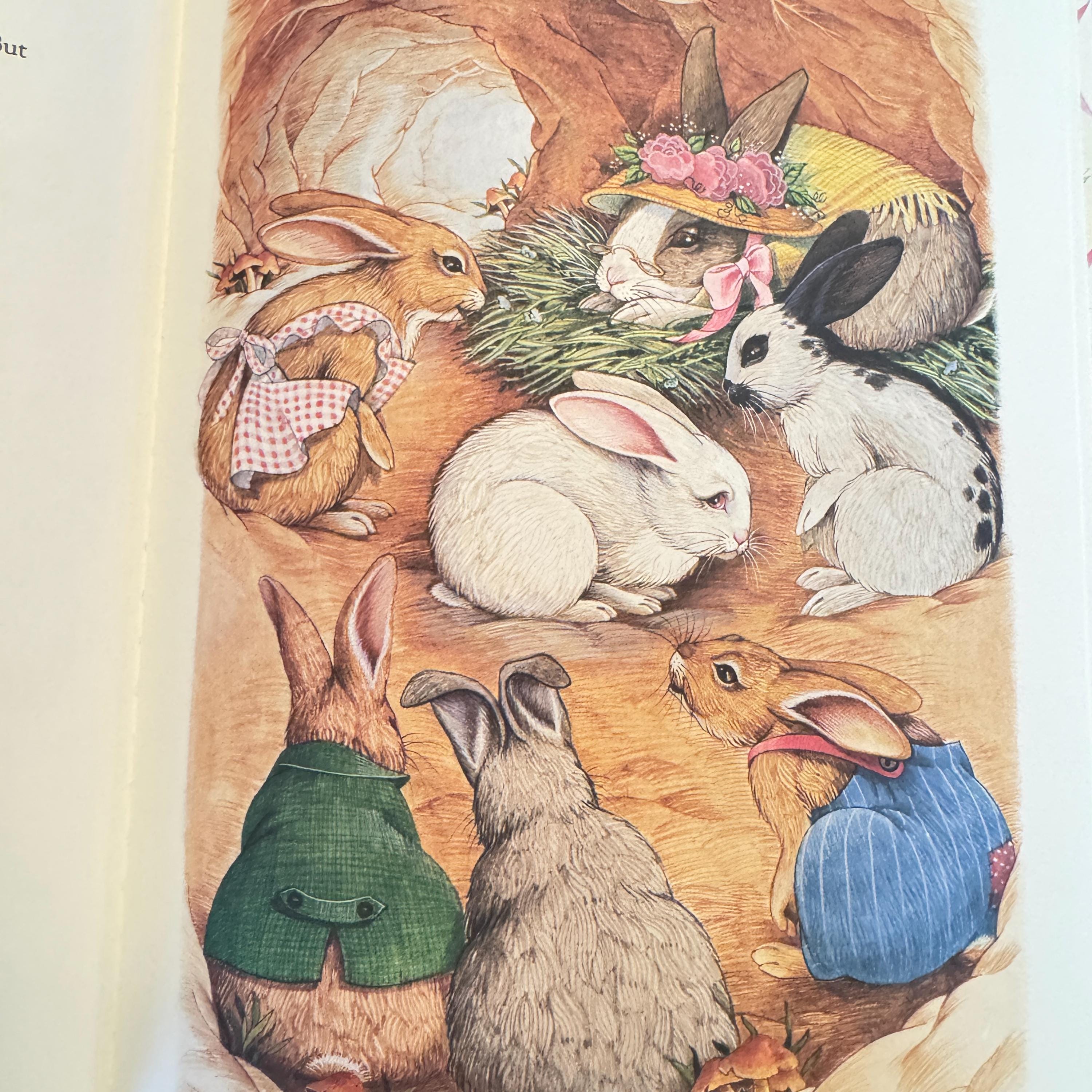 1988 The Story of the Easter Bunny:   Sheila Black, Robyn Officer