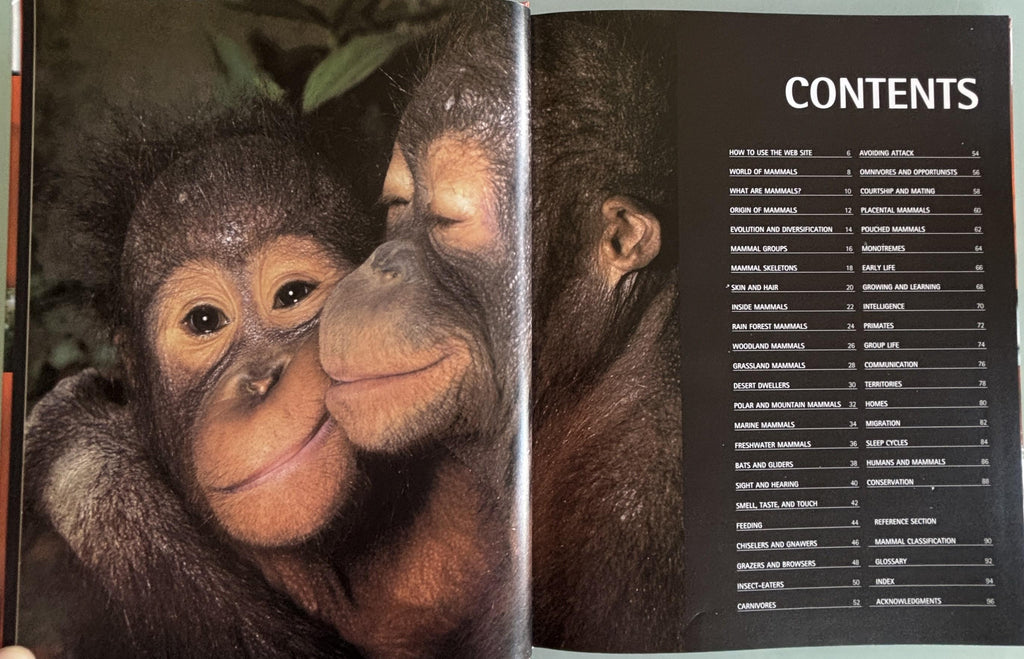 Mammal (DK/Google E.guides):  Jen Green  **  First American Edition  **