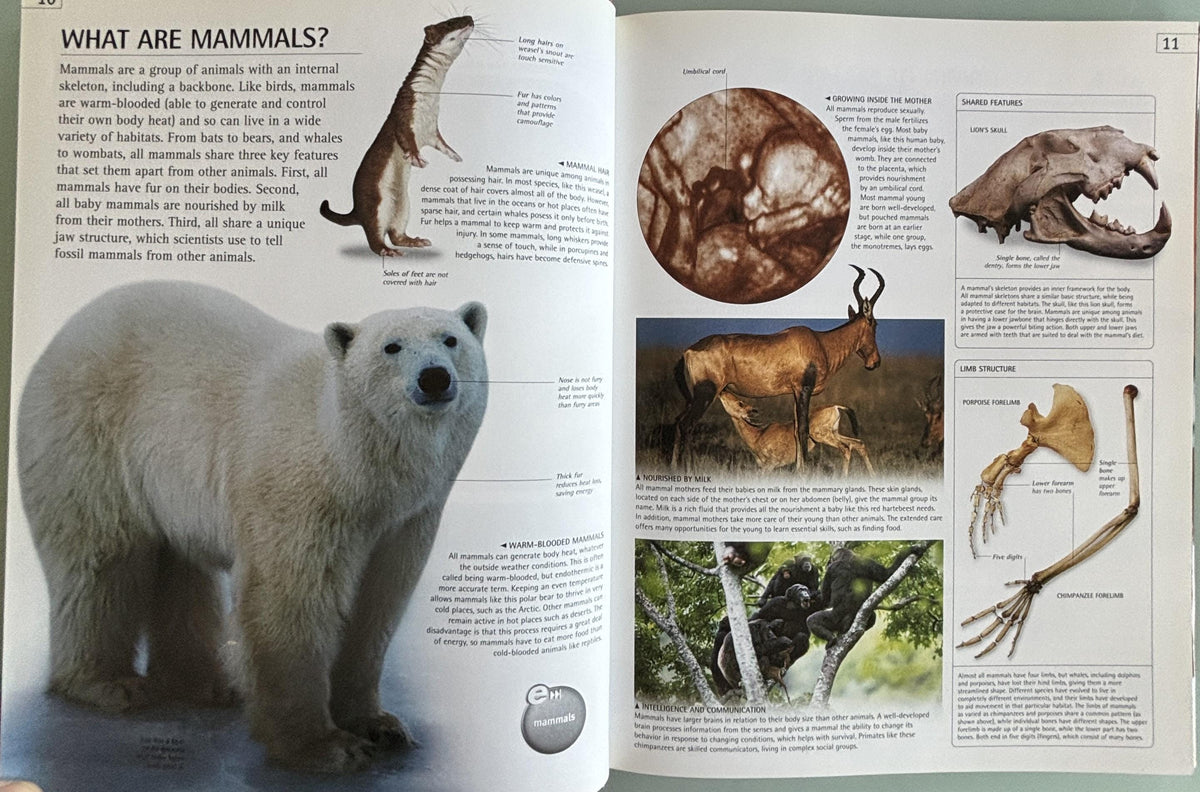 Mammal (DK/Google E.guides):  Jen Green  **  First American Edition  **