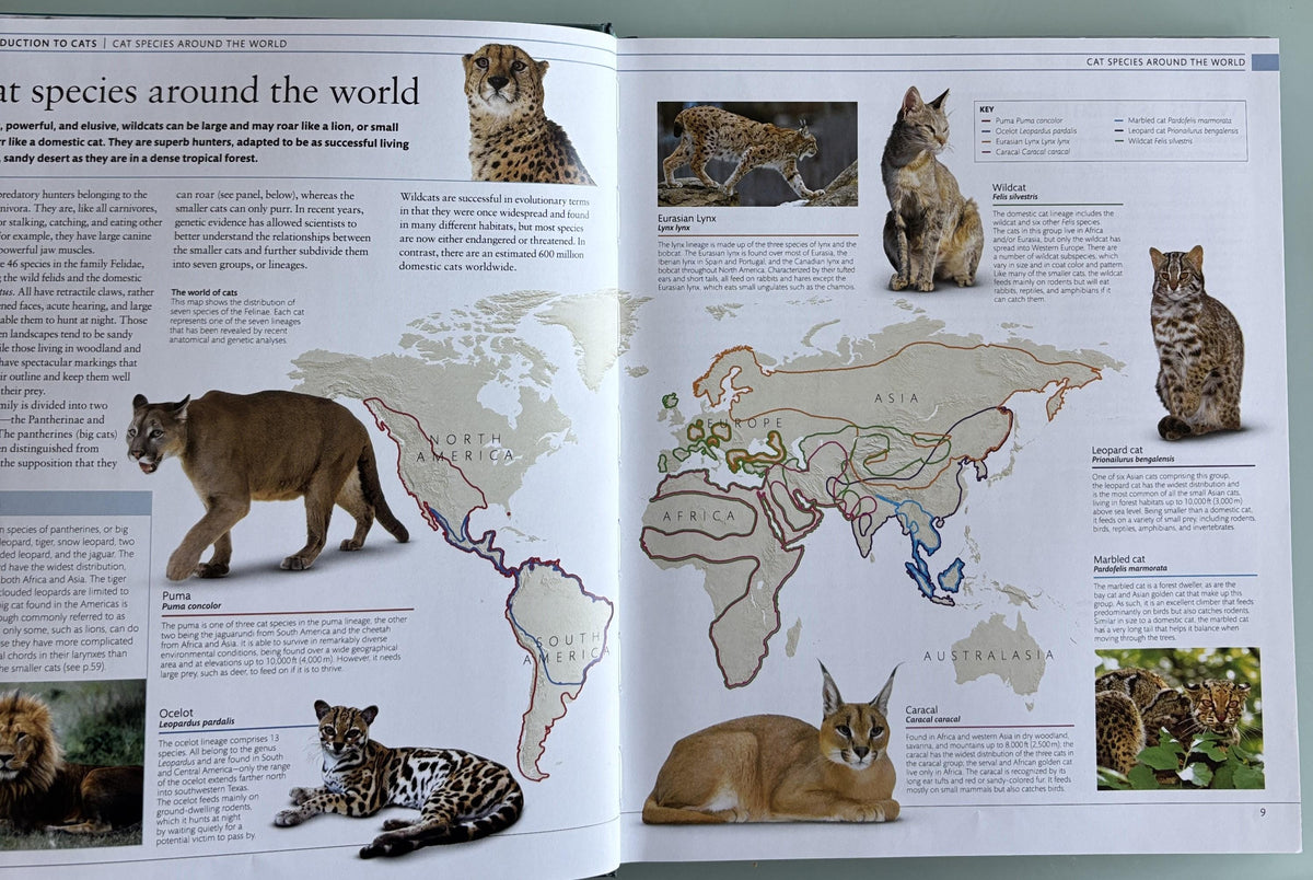 The Cat Encyclopedia: Definitive Visual Guide (New Edition)