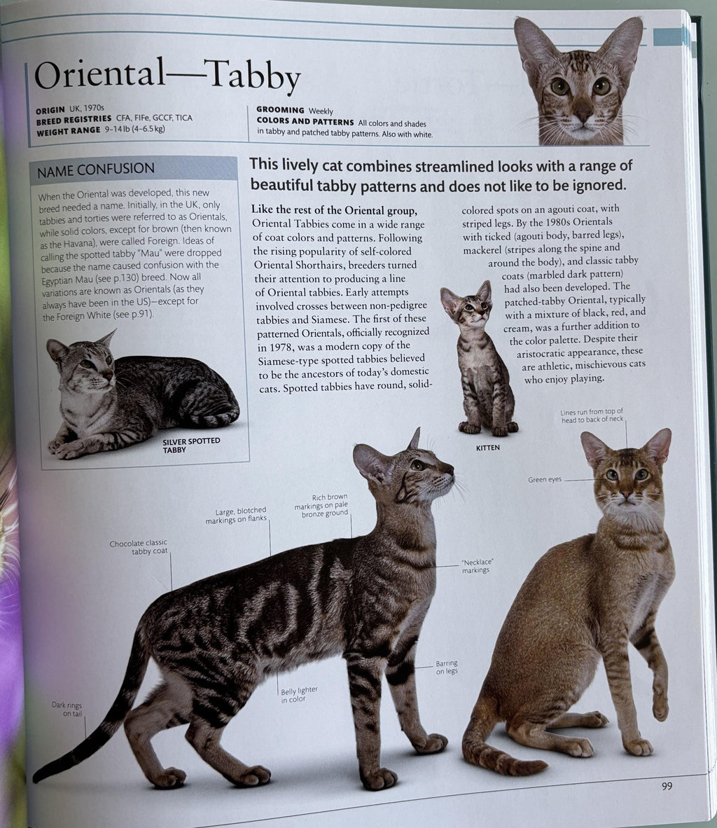 The Cat Encyclopedia: Definitive Visual Guide (New Edition)