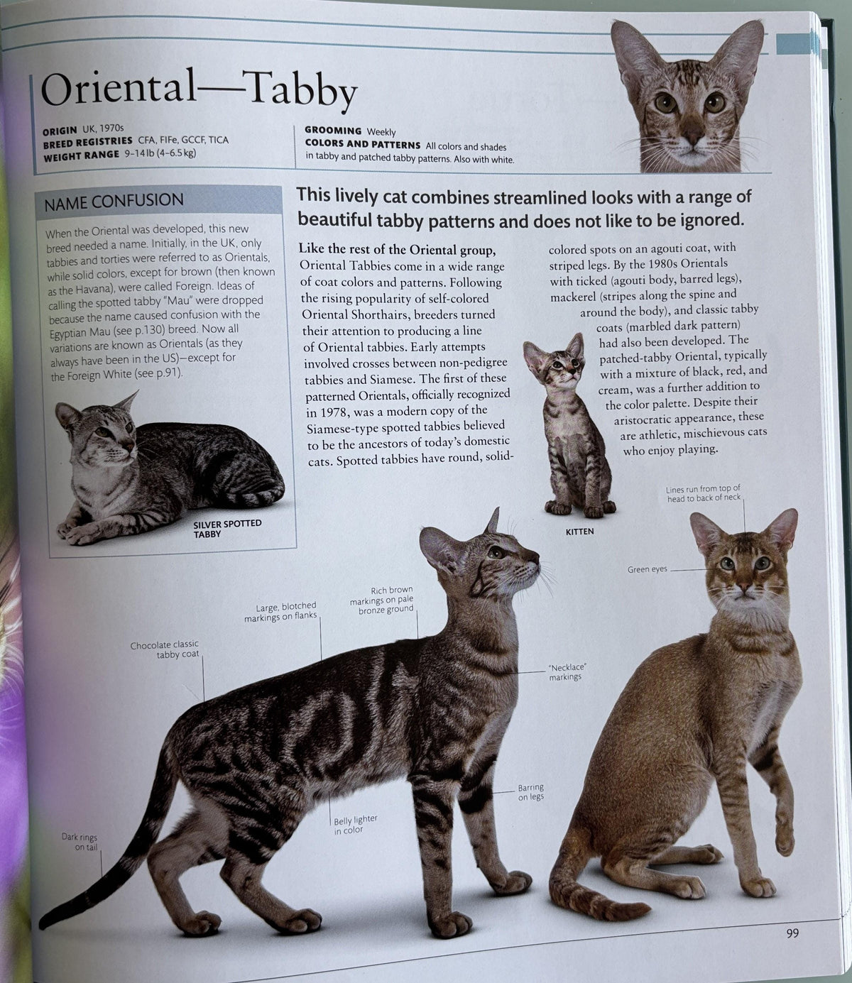 The Cat Encyclopedia: Definitive Visual Guide (New Edition)