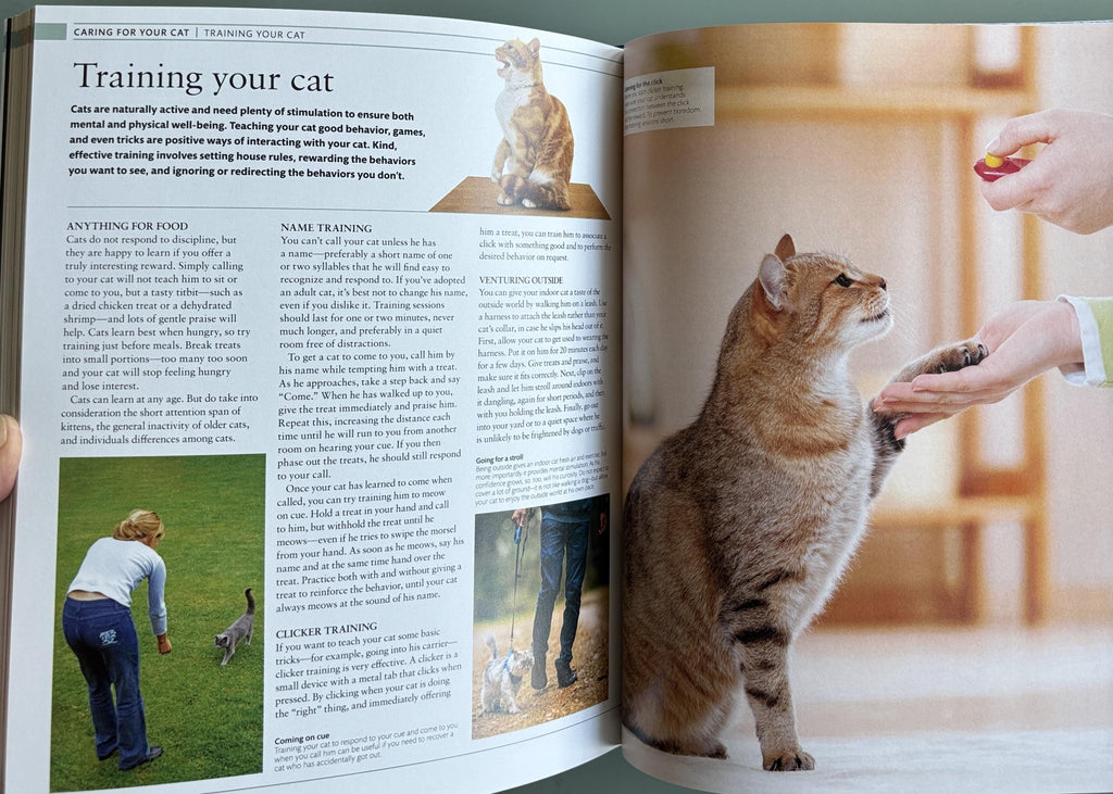 The Cat Encyclopedia: Definitive Visual Guide (New Edition)