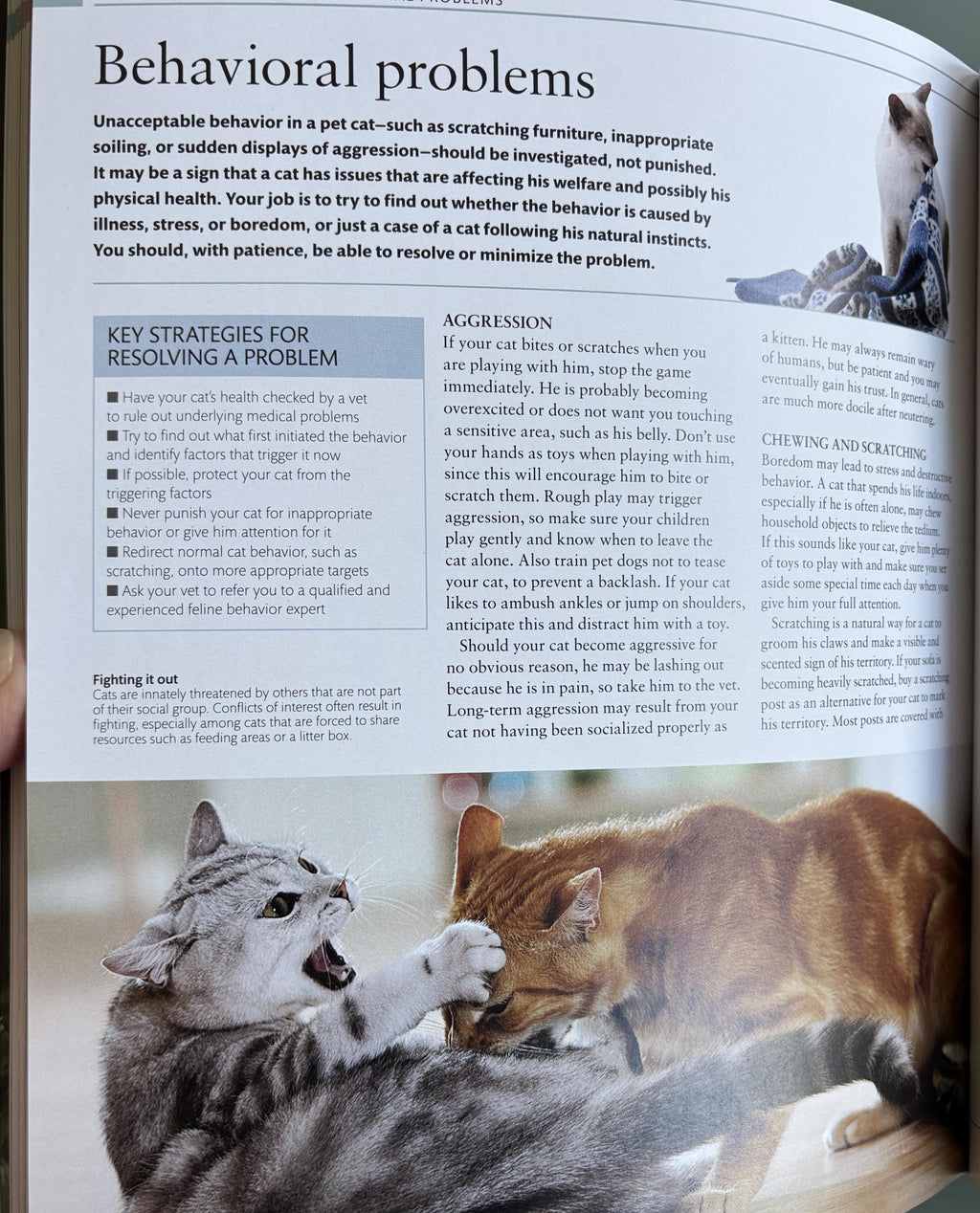 The Cat Encyclopedia: Definitive Visual Guide (New Edition)