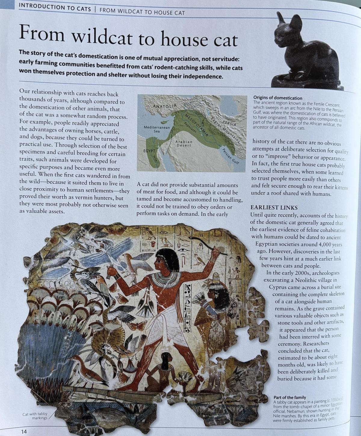 The Cat Encyclopedia: Definitive Visual Guide (New Edition)