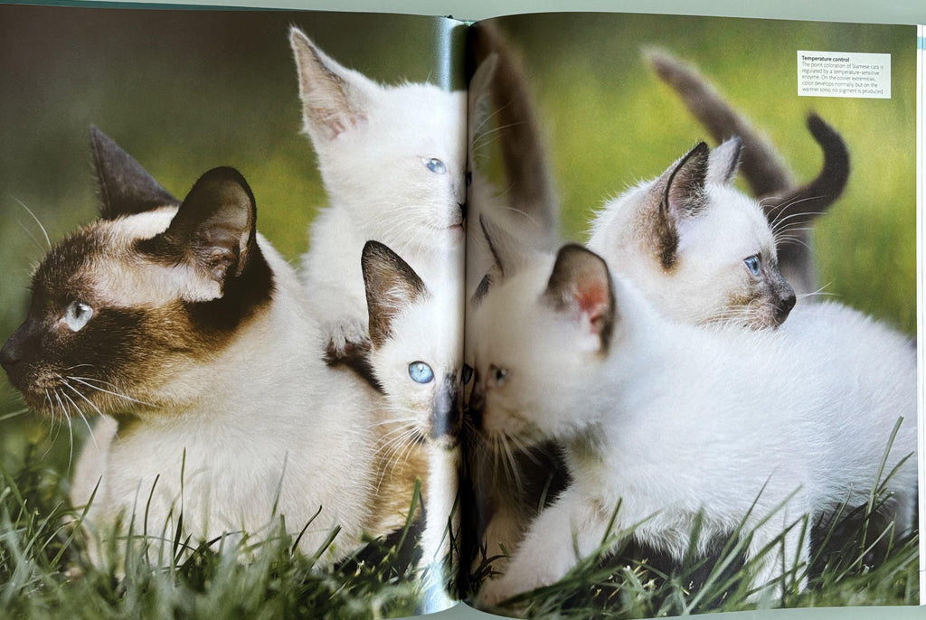 The Cat Encyclopedia: Definitive Visual Guide (New Edition)