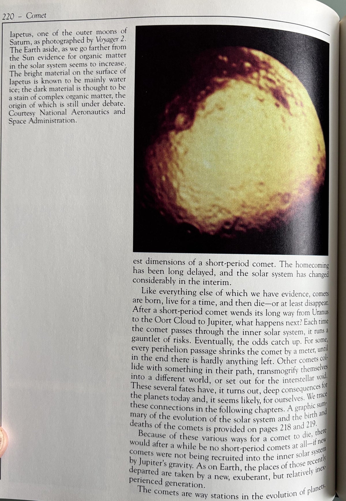 Comet:  Carl Sagan - Science-Astronomy  **  First Edition  **  1985