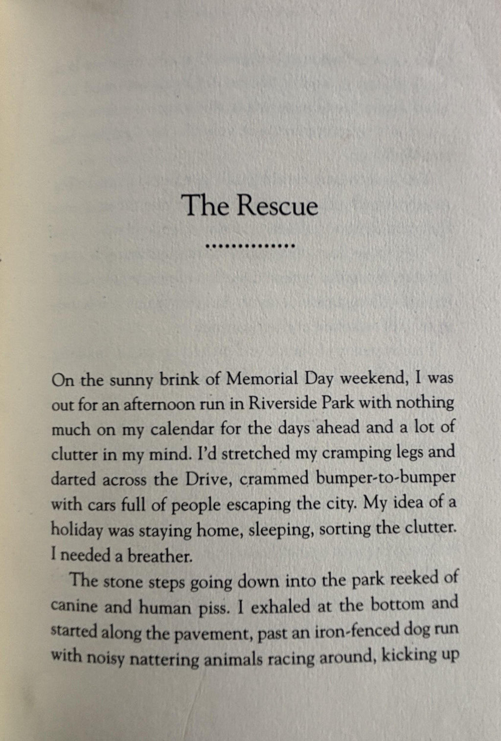 Bark If You Love Me A Woman-Meets-Dog Story:  Louise Bernikow  **  First Edition  **