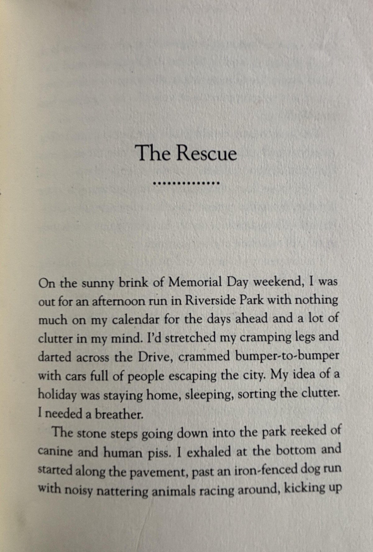 Bark If You Love Me A Woman-Meets-Dog Story:  Louise Bernikow  **  First Edition  **
