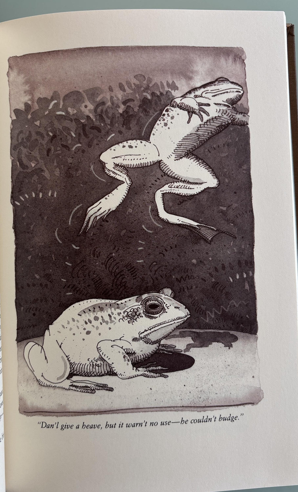 The celebrated jumping frog and other stories:  Mark Twain  1992
