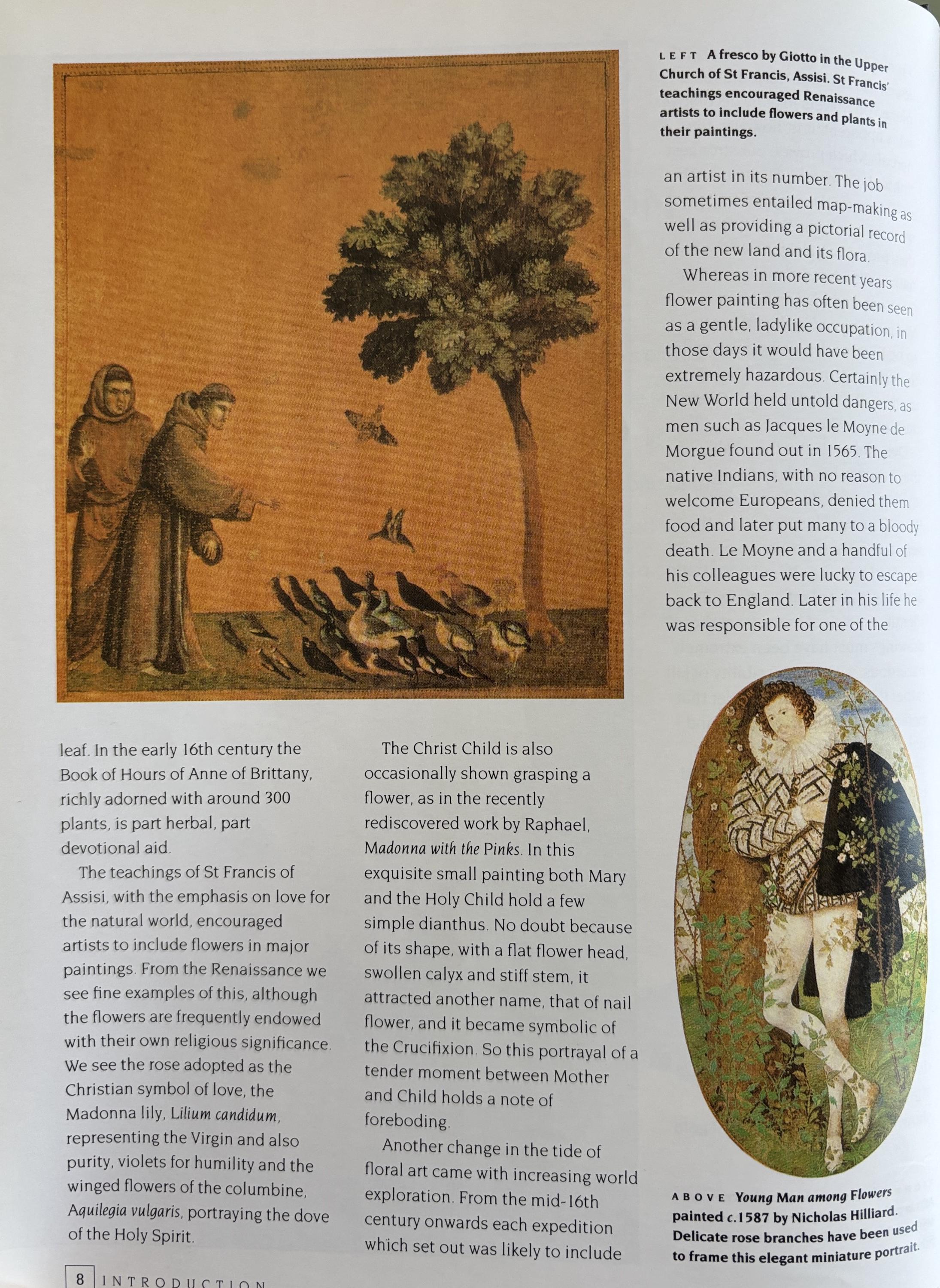An Introduction to Drawing Flowers:   Margaret Stevens