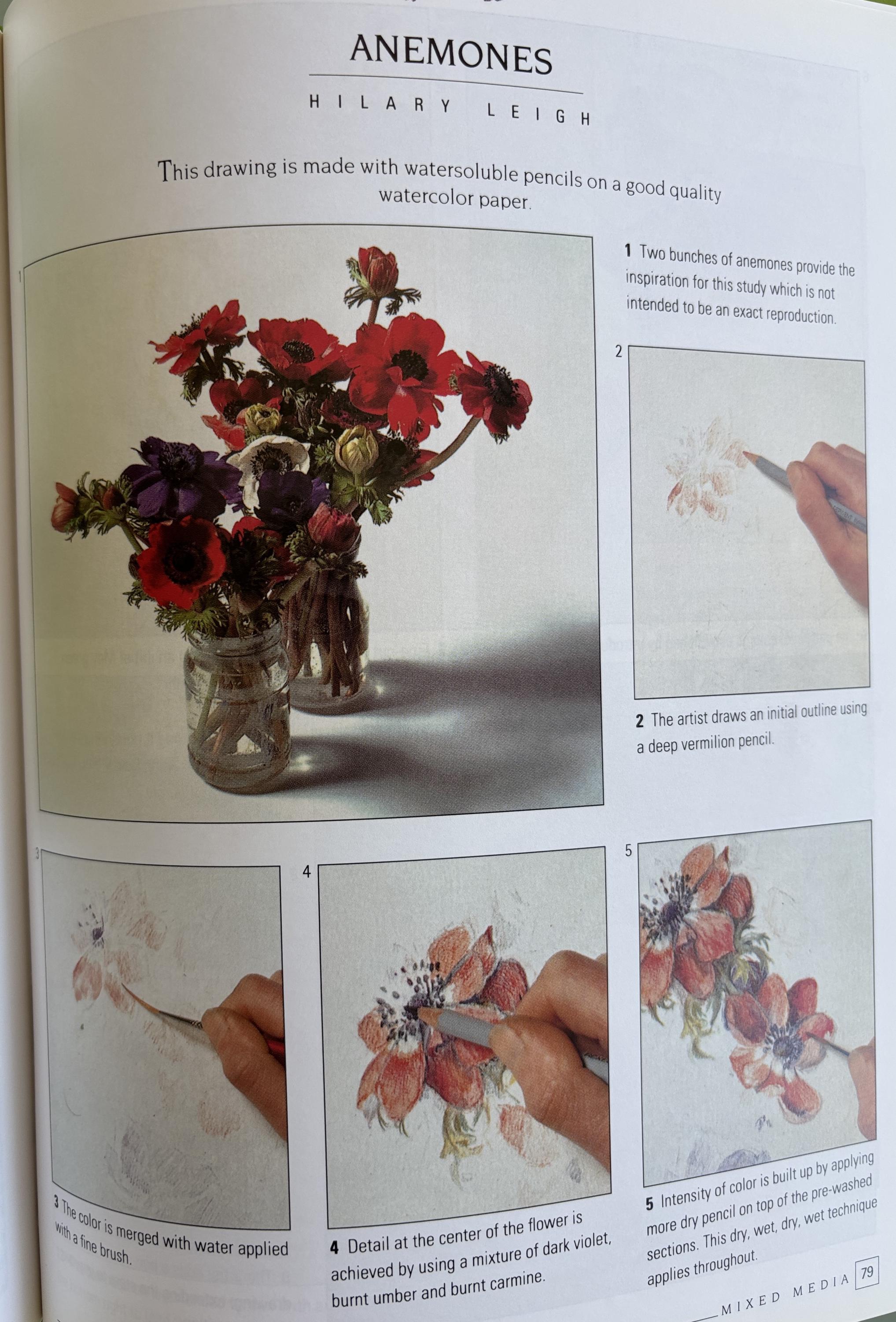 An Introduction to Drawing Flowers:   Margaret Stevens