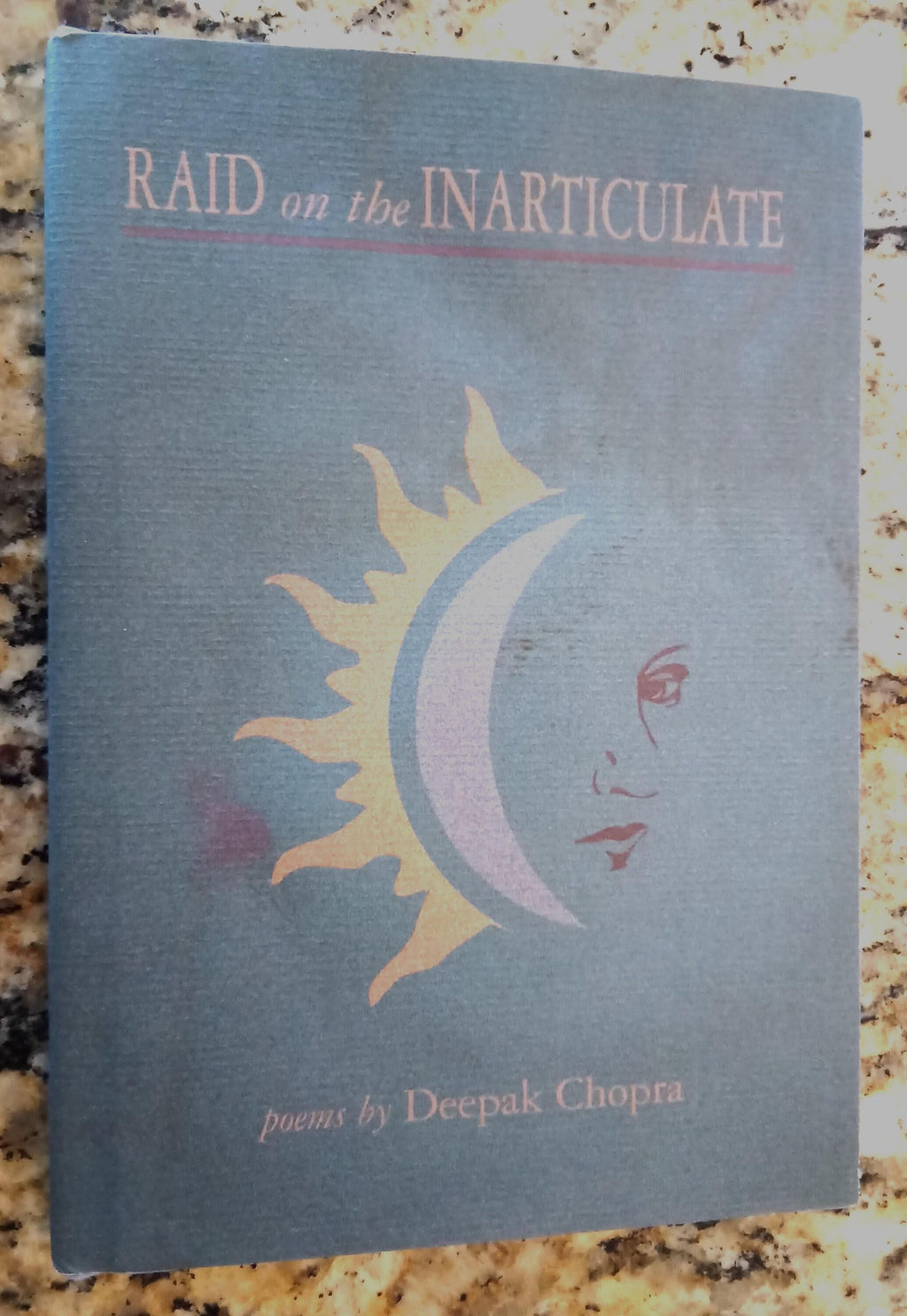 Raid on the Inarticulate  -  Hard Cover
