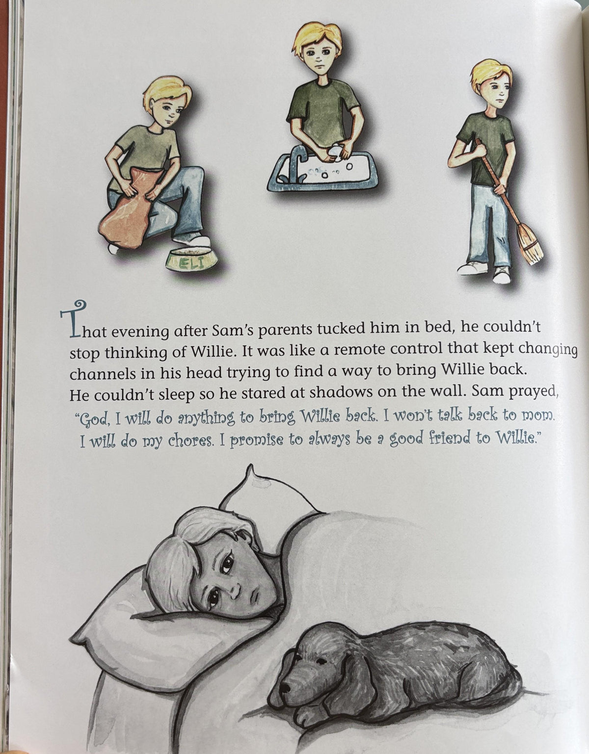 Willie's Reflection: A Story of Grief, Hope and Healing Hardcover