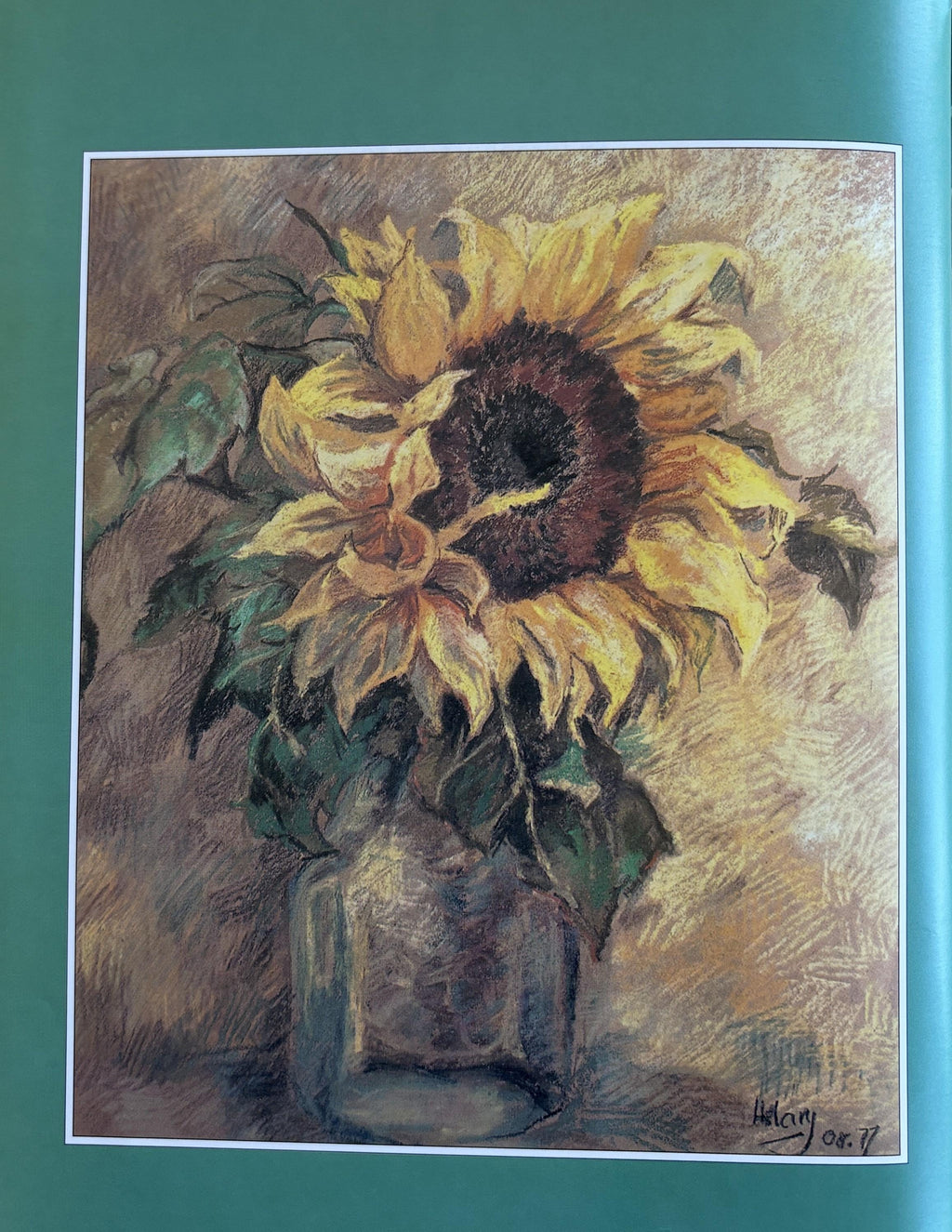 An Introduction to Drawing Flowers:   Margaret Stevens