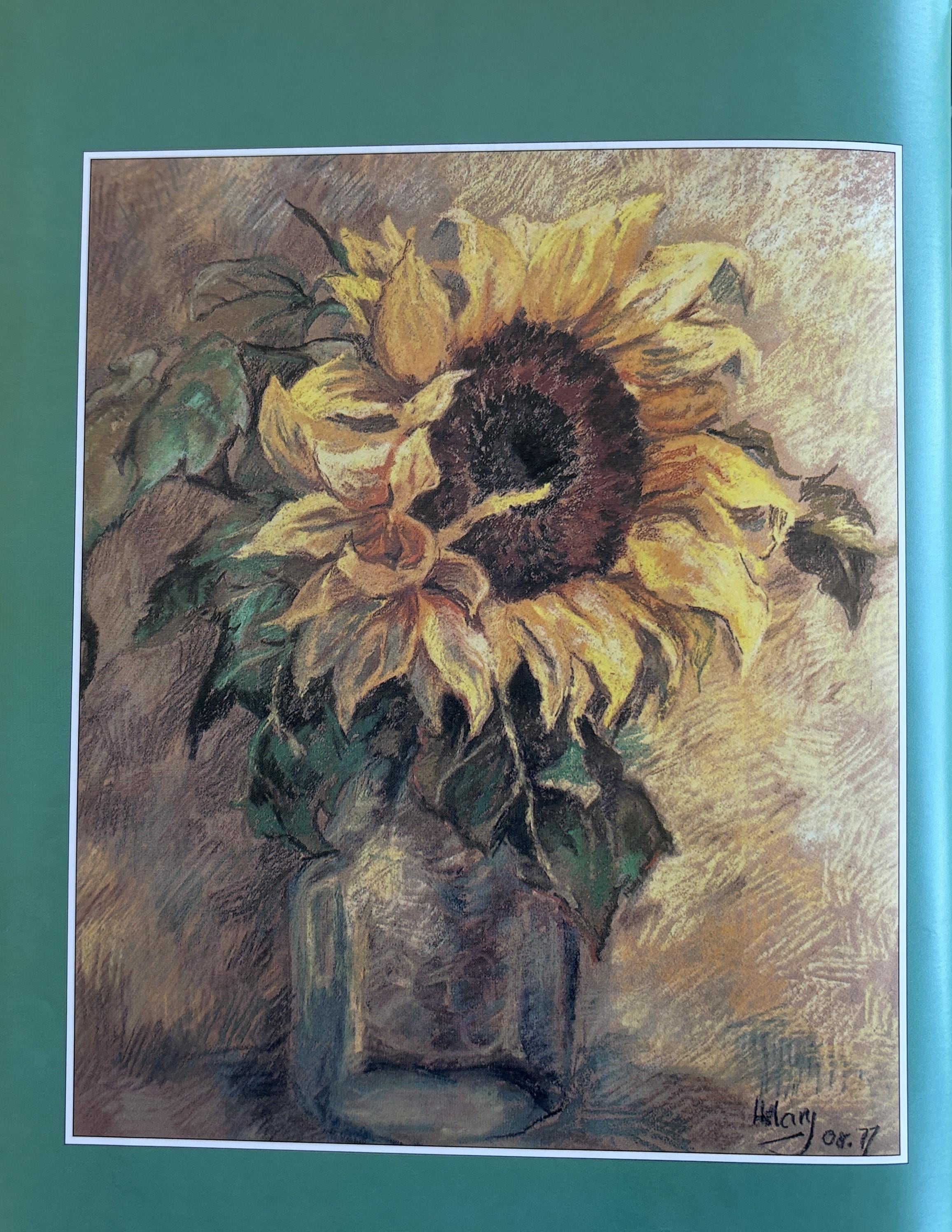 An Introduction to Drawing Flowers:   Margaret Stevens