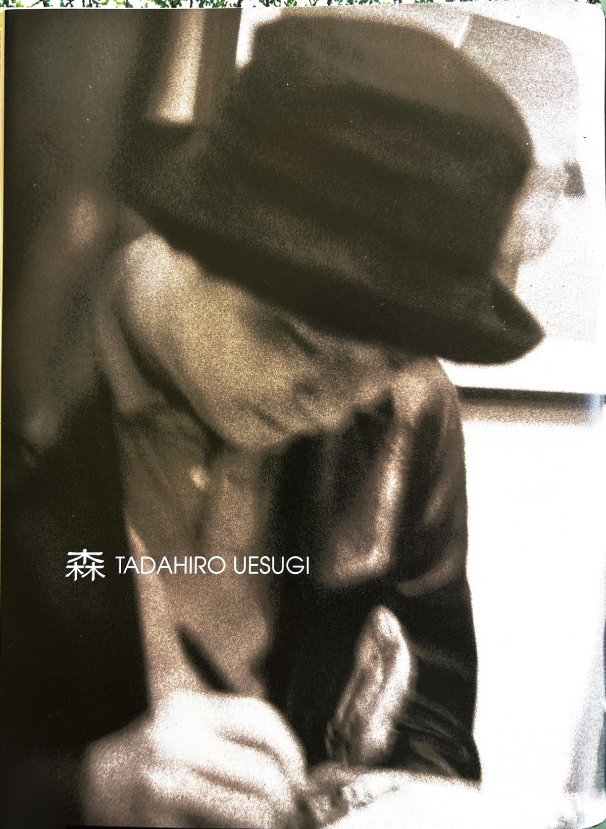 Three Trees Make a Forest:  Gingho Press  **  1st Edition  **
