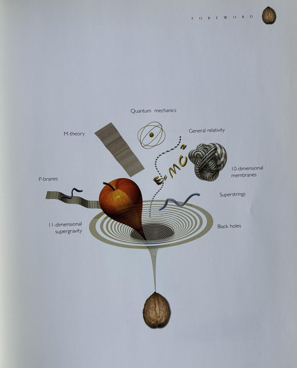The Universe In A Nutshell Stephen Hawking' 2001