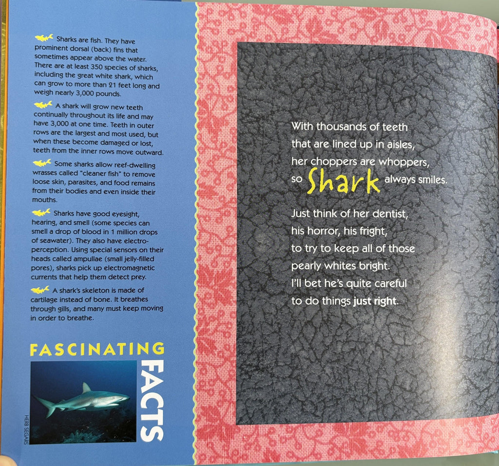 Look Who Lives in the Ocean:  Brooke Bessesen