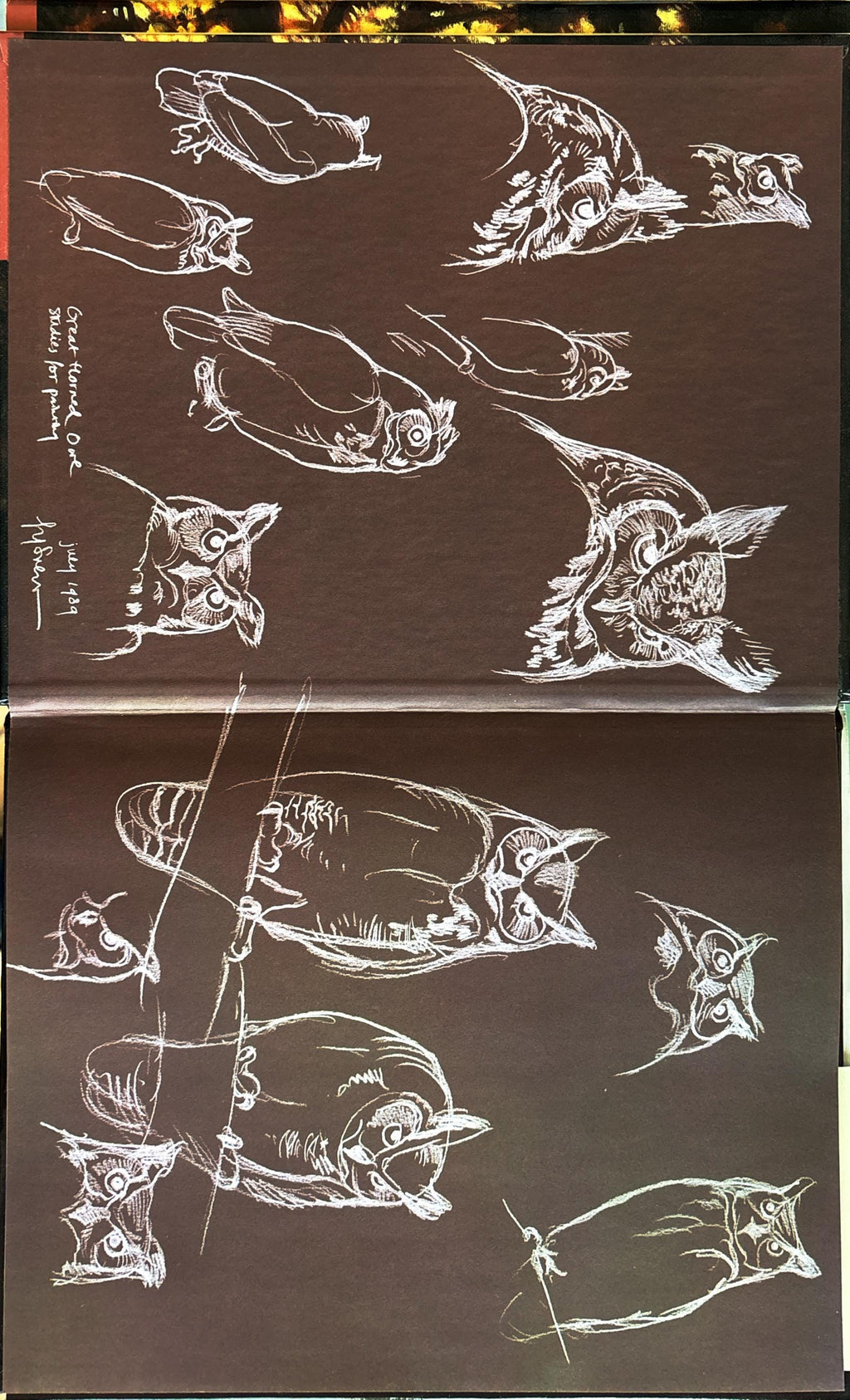 Adopted by an Owl:  Robbyn S. van Frankenhuyzen