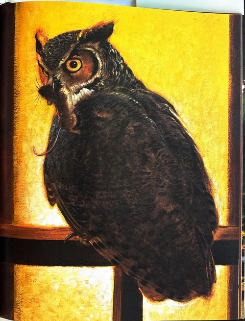 Adopted by an Owl:  Robbyn S. van Frankenhuyzen