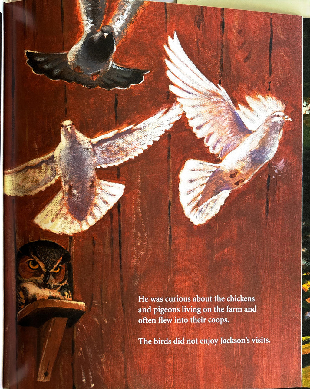 Adopted by an Owl:  Robbyn S. van Frankenhuyzen
