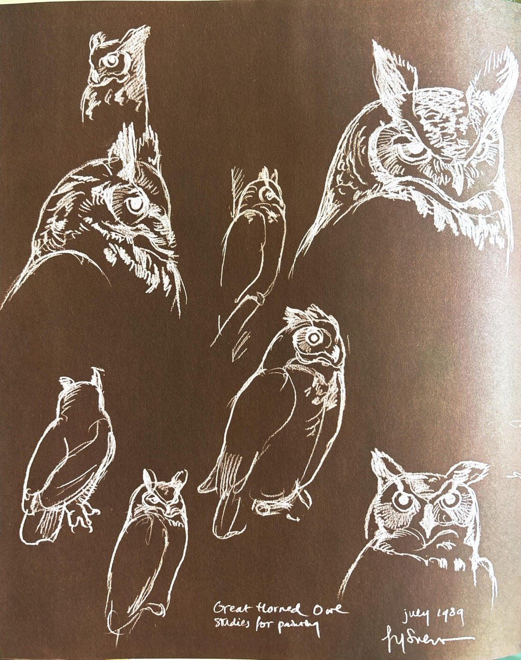 Adopted by an Owl:  Robbyn S. van Frankenhuyzen