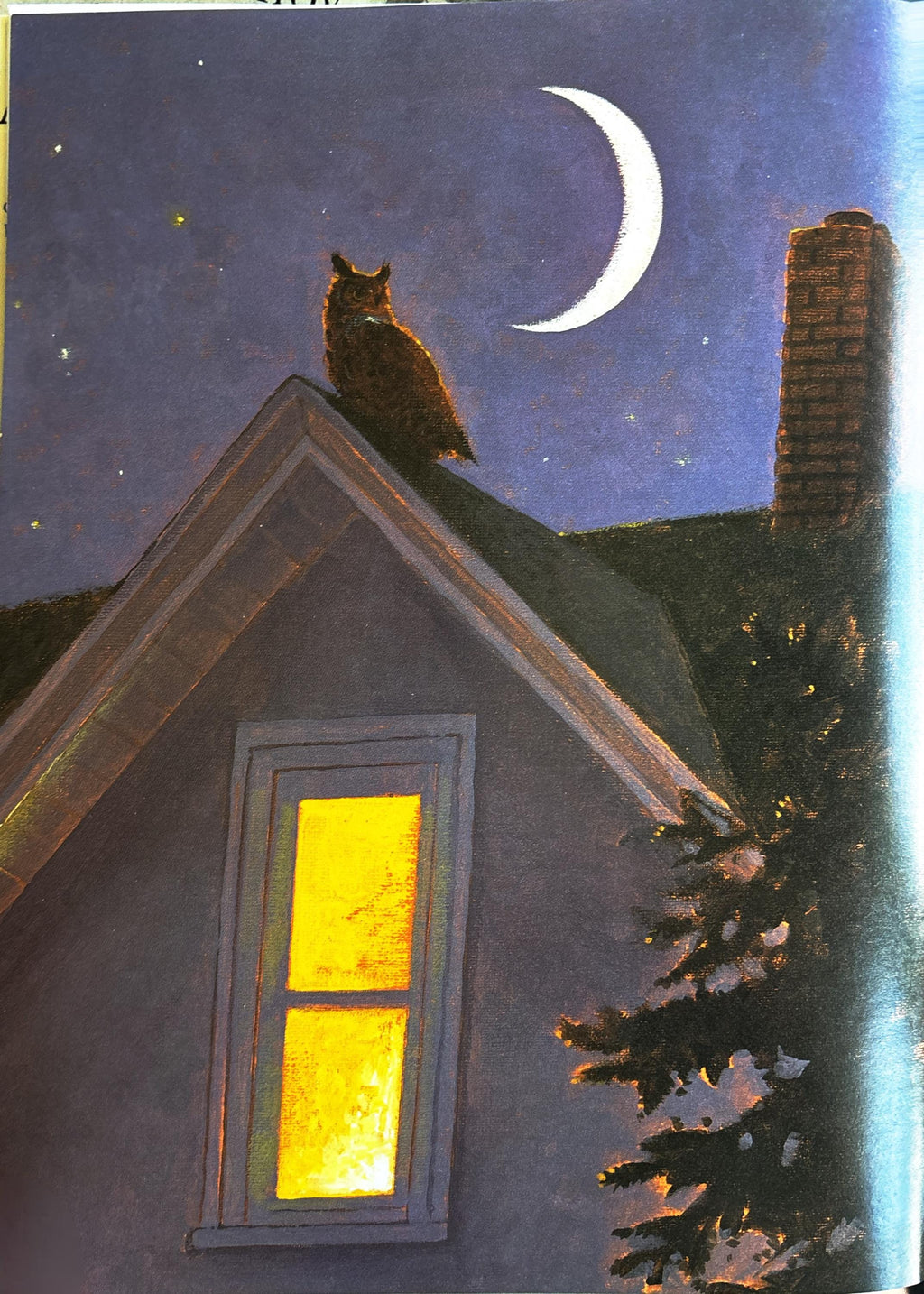Adopted by an Owl:  Robbyn S. van Frankenhuyzen
