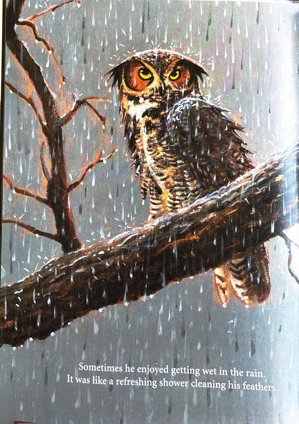 Adopted by an Owl:  Robbyn S. van Frankenhuyzen